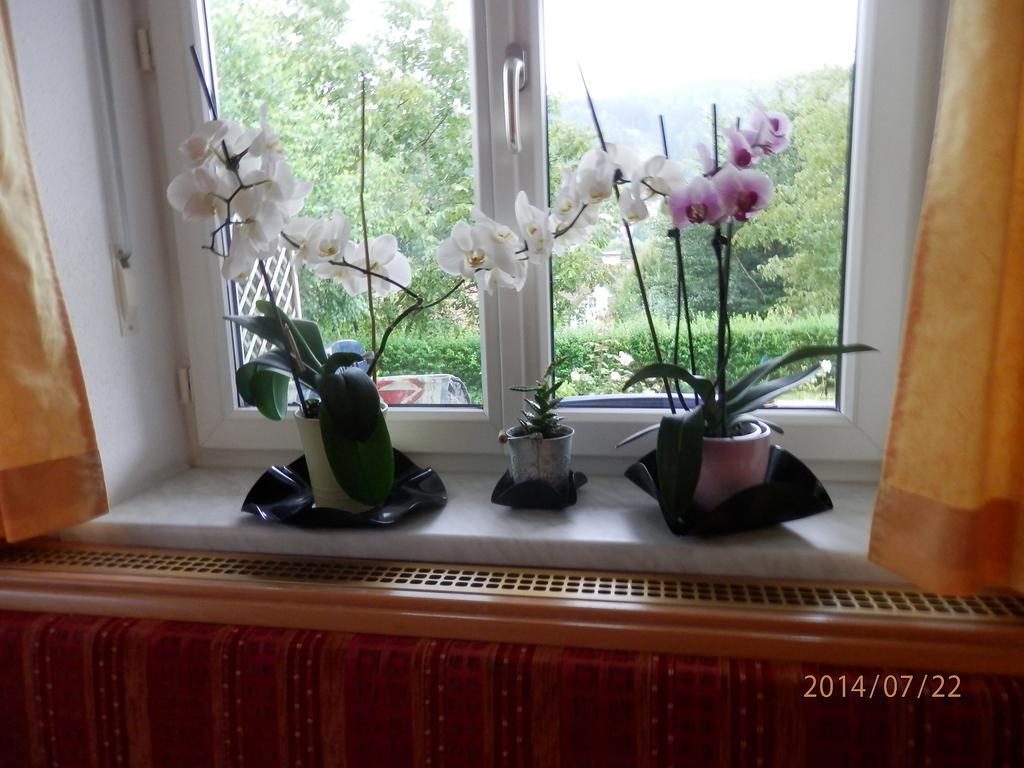 Ferienwohnung Wurm Anger  Экстерьер фото